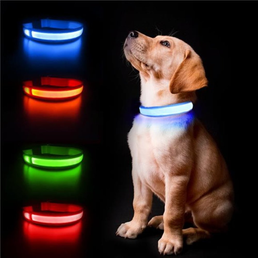 MASBRILL LED Dog Collars Flashing Light Up Dog Collar Rechargeable
